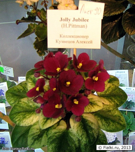 Jolly Jubilee