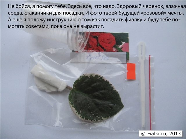 Упаковка