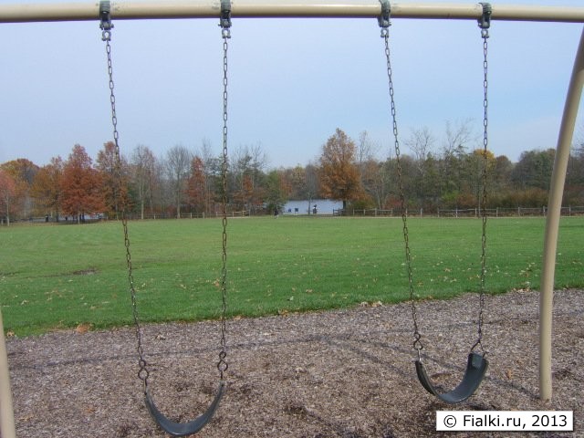 swings