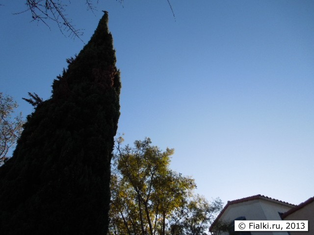 LA sky
