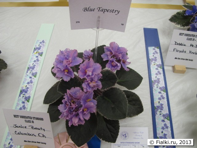 plant