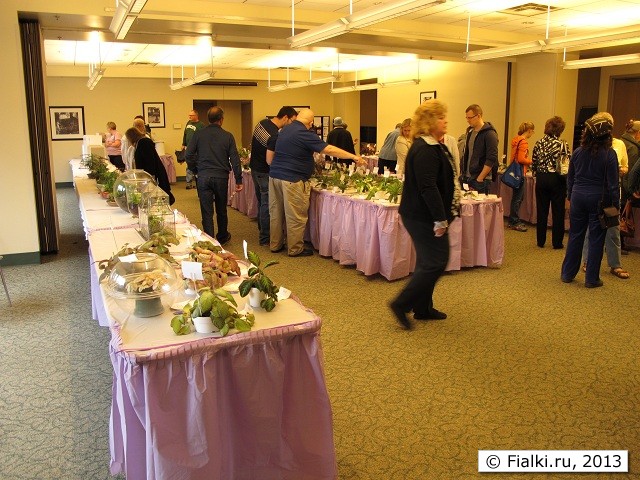 show room