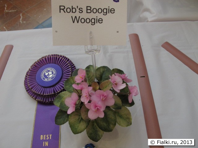 Rob's Boogie Woogie