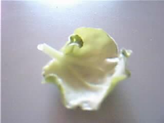 Аномальный листик