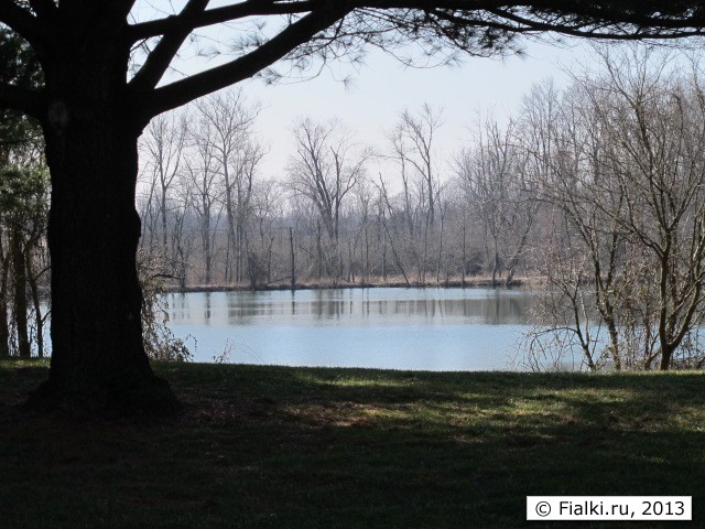 lake view