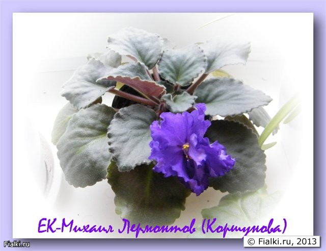 ЕК-Михаил Лермонтов (Коршунова)