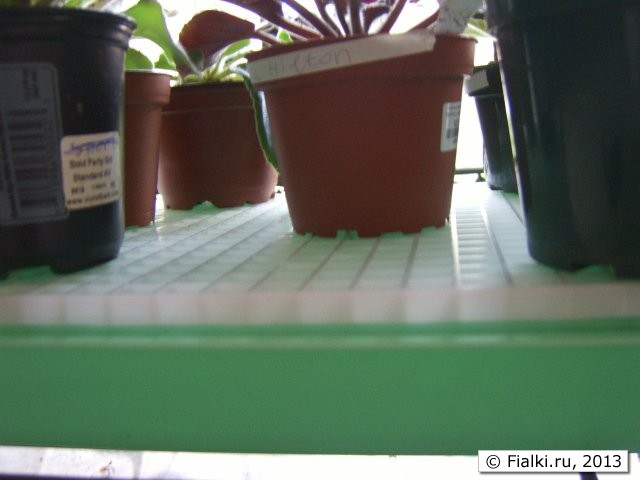tray 1