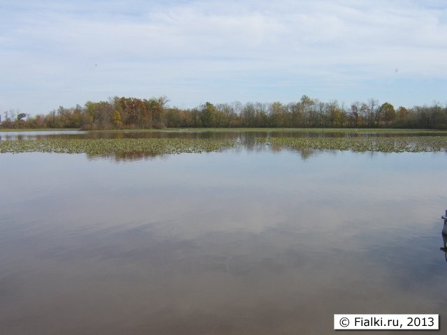 lake-mirror 1