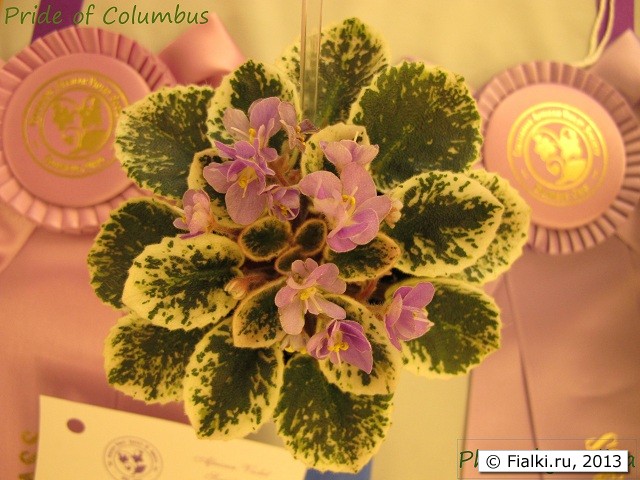 Pride of Columbus