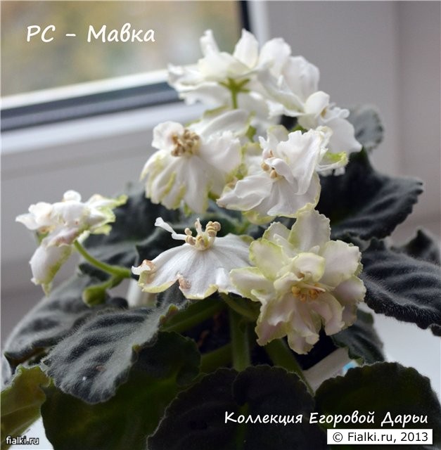 Мавка