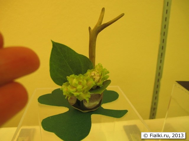 design