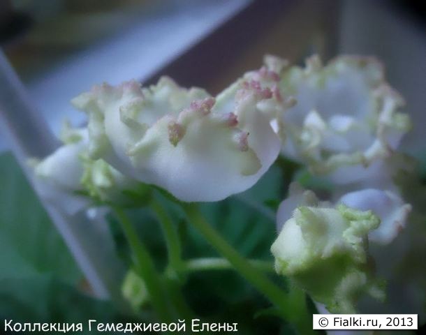 парниковый эффект