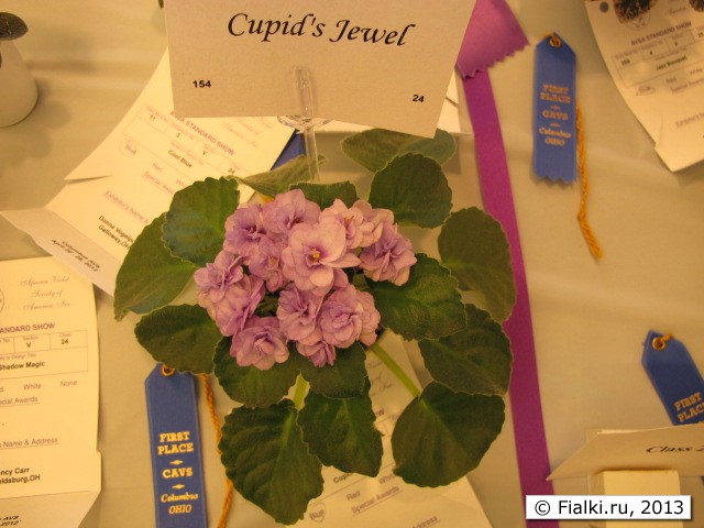 Cupid Jewel