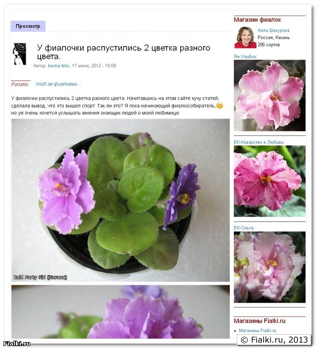 Динамическая реклама