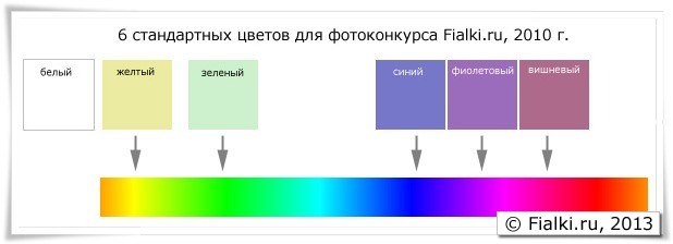 6 стандартных цветов для фиалок