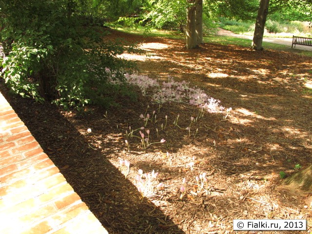 park