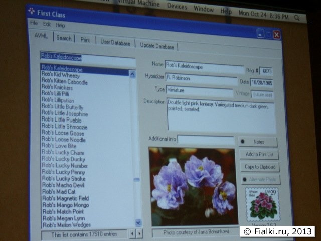 program 4