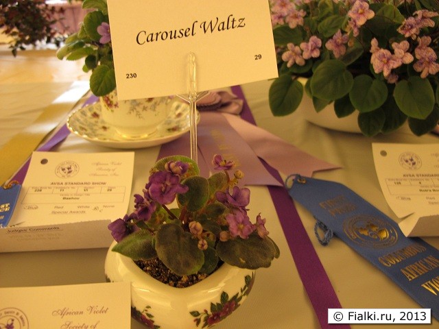 Carousel Waltz