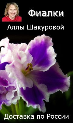 Баннер для России