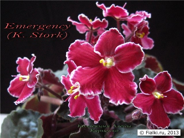 Emergency