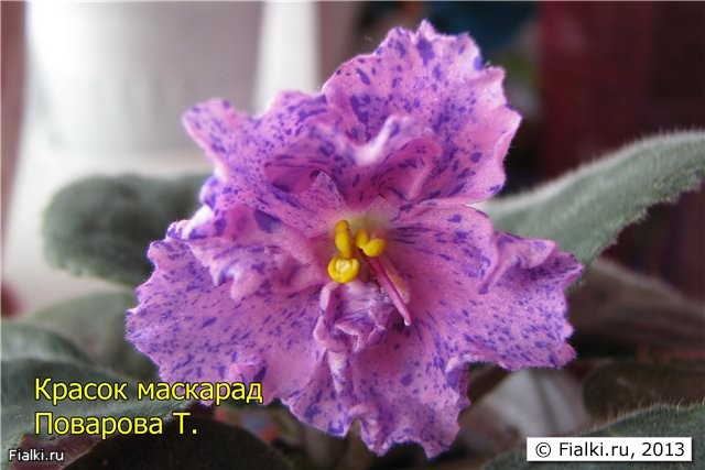 Красок маскарад