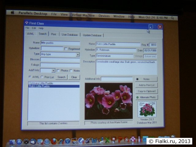 program 8