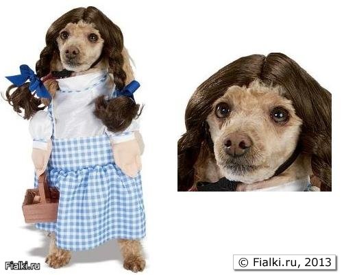 Собако-люди