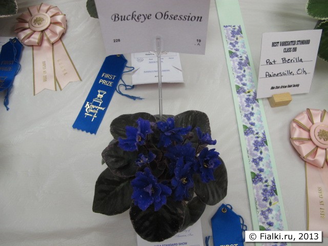 plant