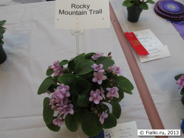 Rocky Mountain Trail