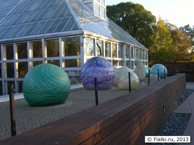 patio 2