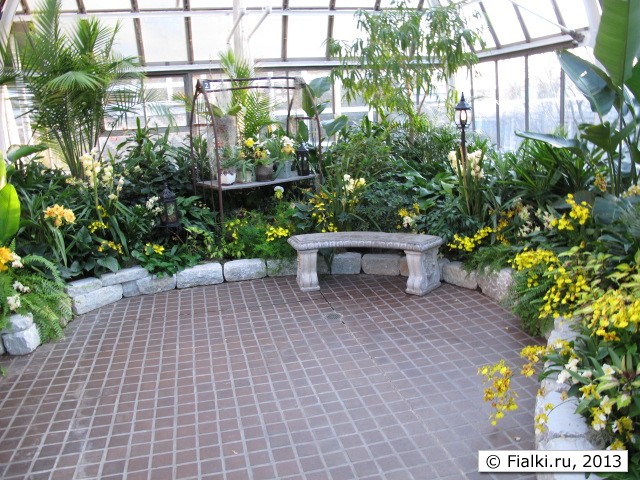 orchid hall
