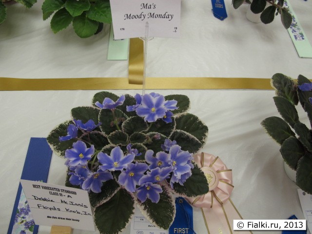 plant