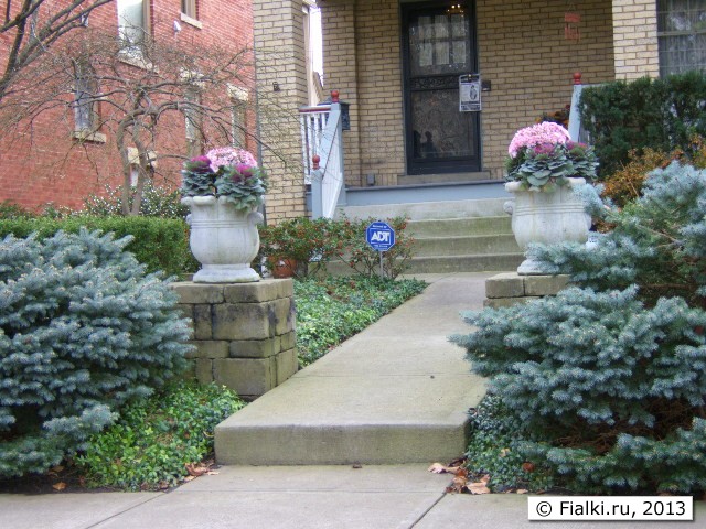 entrance