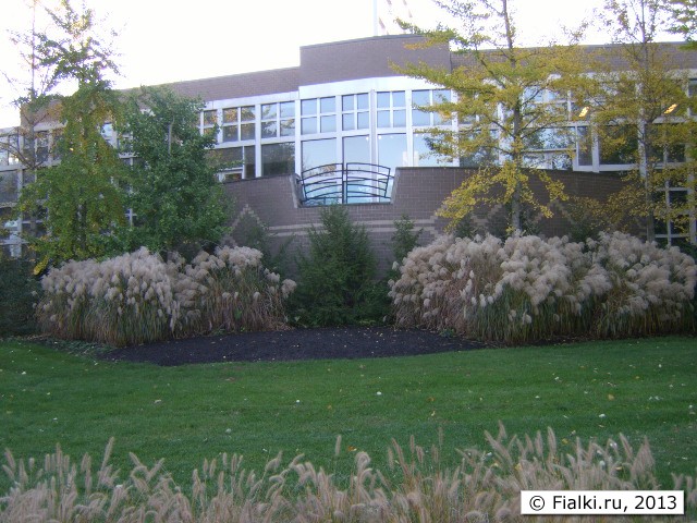house 1