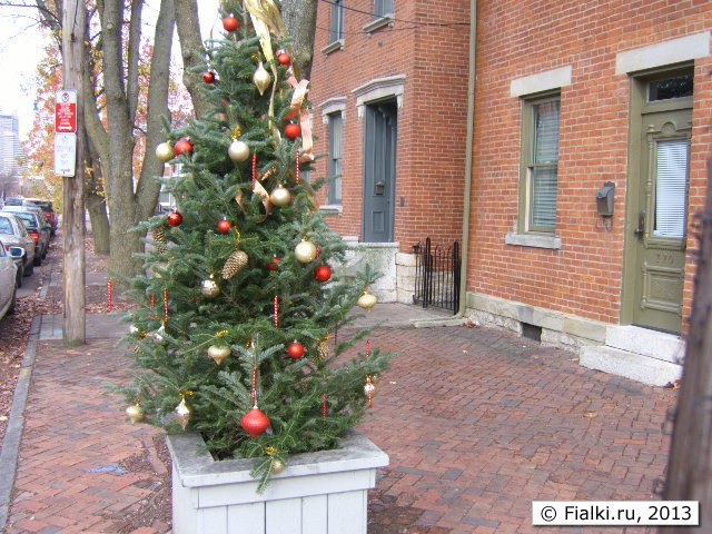tree