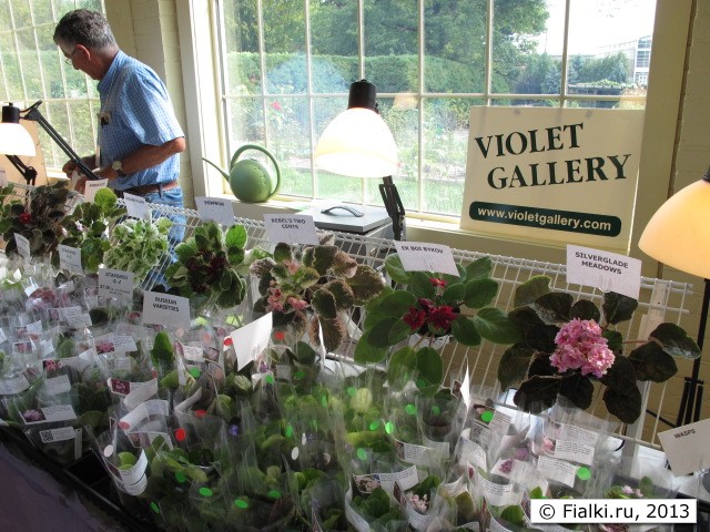 sales room