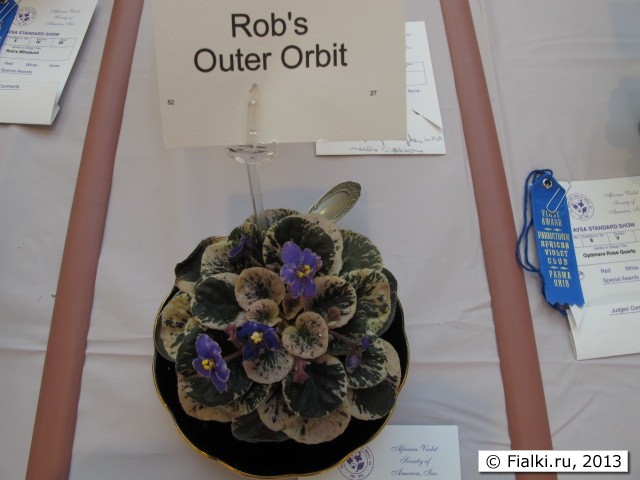Rob's Outer Orbit