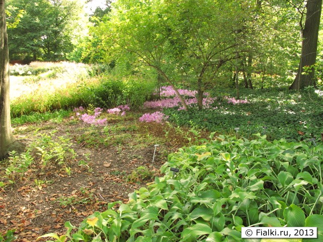 park