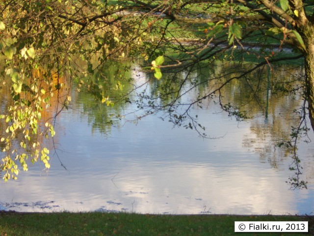 water