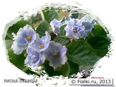Песня Сольвейг