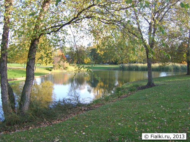 pond