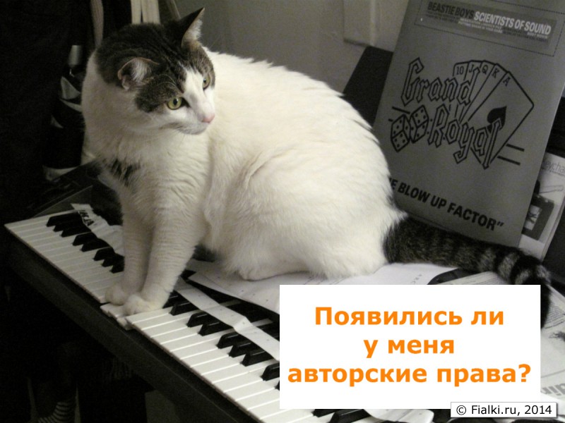 Авторские права