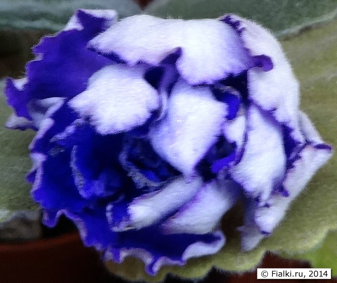 DSC02168