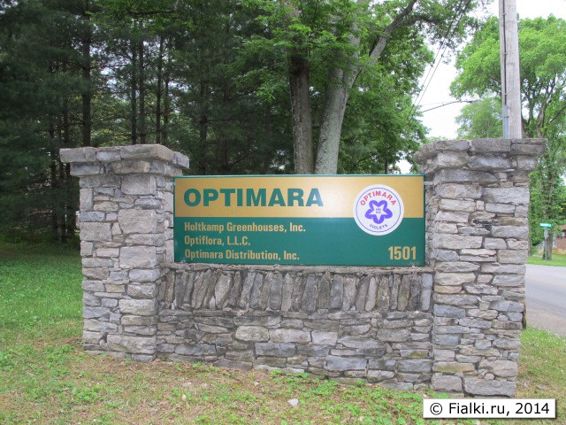 optimara