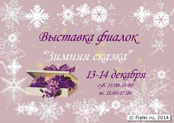 Выставка фиалок