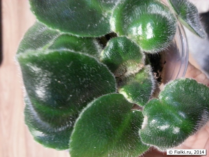 _210325[1]