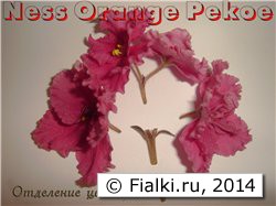 Укоренение цветоноса