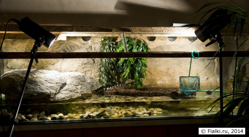 akvaterrarium101