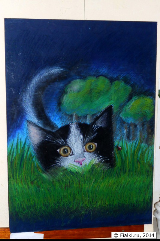 котёнок
