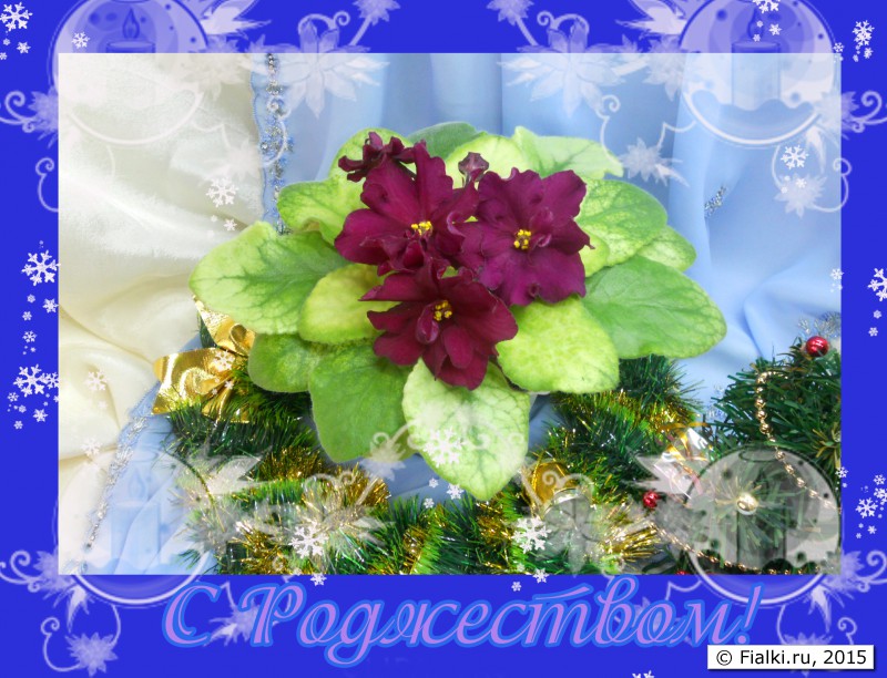 с рождеством 2015